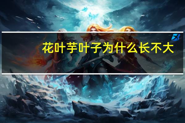 花叶芋叶子为什么长不大