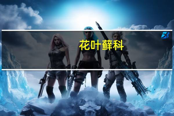 花叶藓科(关于花叶藓科简述)