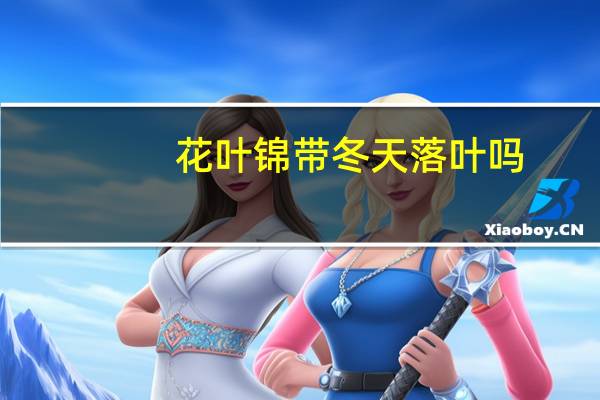 花叶锦带冬天落叶吗