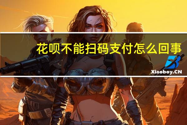 花呗不能扫码支付怎么回事(扫码付款不支持花呗怎么办)
