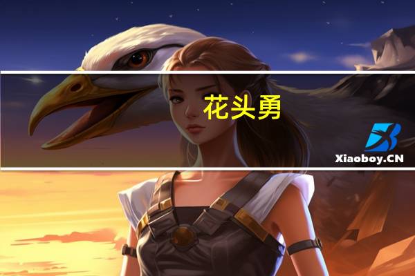 花头勇(关于花头勇简述)
