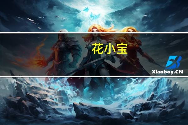 花小宝(关于花小宝简述)