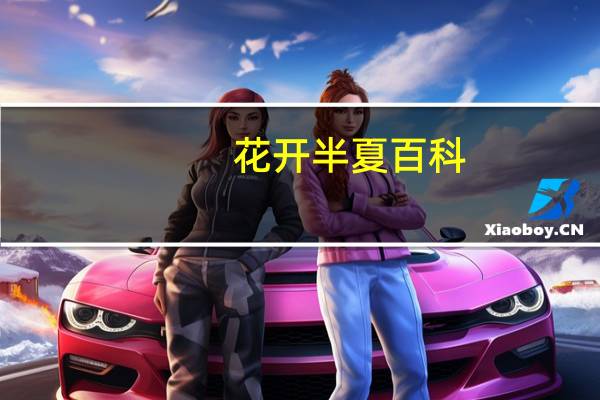 花开半夏百科(花开与你的半夏-花开与你的半夏简介)