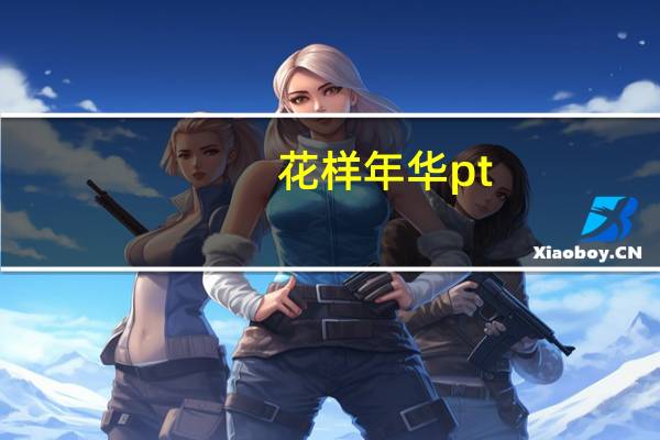 花样年华pt.2(关于花样年华pt.2简述)