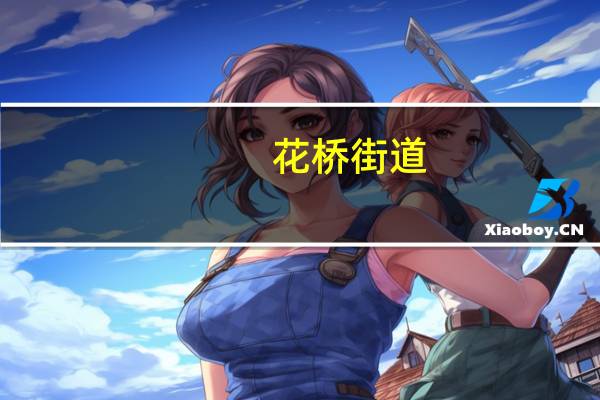 花桥街道(关于花桥街道简述)
