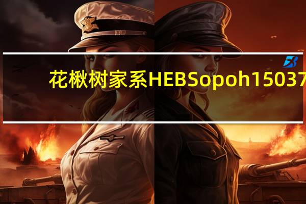 花楸树家系HEBSopoh15037(关于花楸树家系HEBSopoh15037简述)