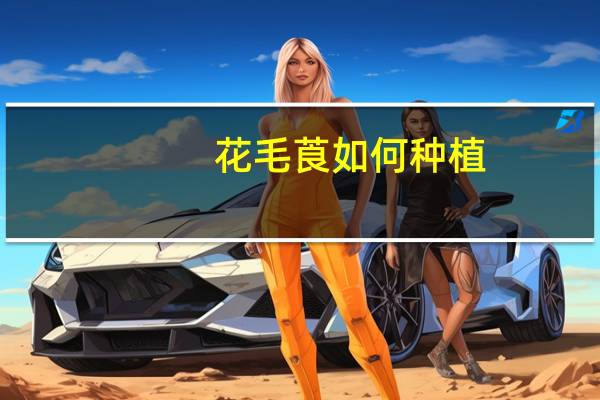 花毛莨如何种植