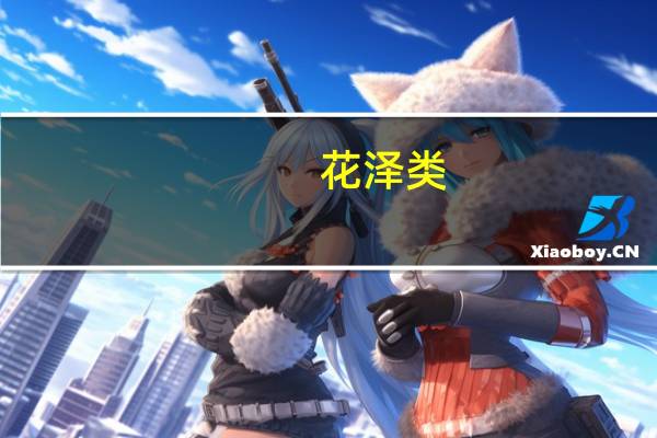 花泽类（关于花泽类的介绍）
