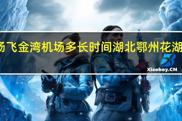 花湖机场飞金湾机场多长时间 湖北鄂州花湖机场机票开售