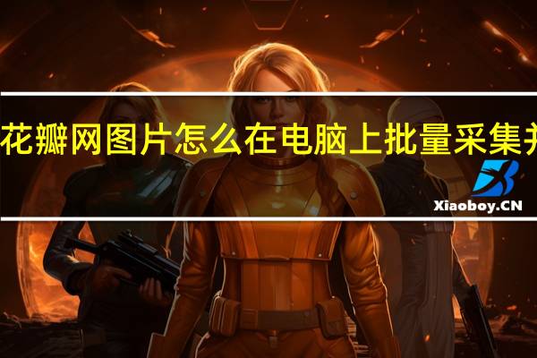 花瓣网图片怎么在电脑上批量采集并保存（花瓣网图片怎么下载）