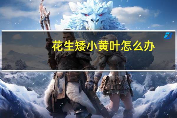 花生矮小黄叶怎么办