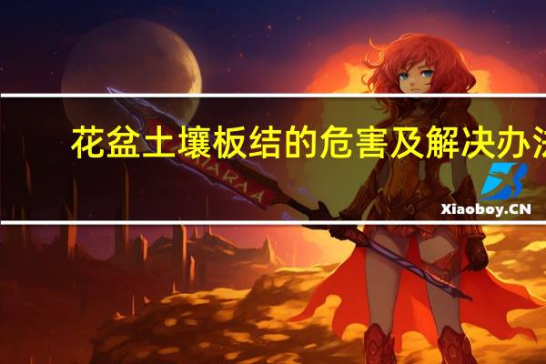 花盆土壤板结的危害及解决办法：勤松土适当施肥