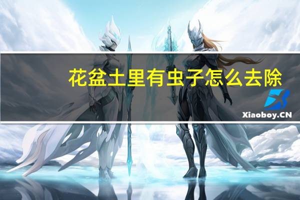 花盆土里有虫子怎么去除