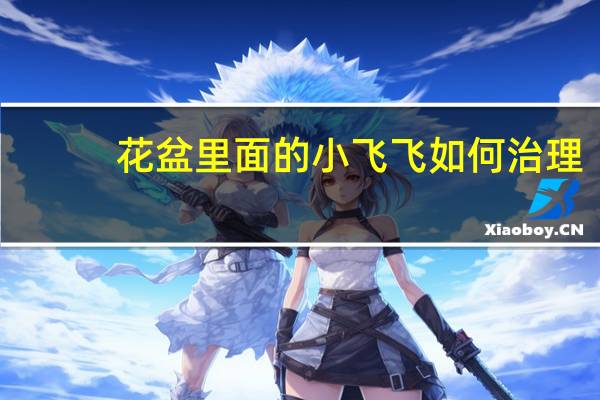 花盆里面的小飞飞如何治理