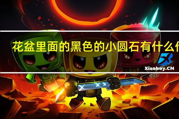 花盆里面的黑色的小圆石有什么作用