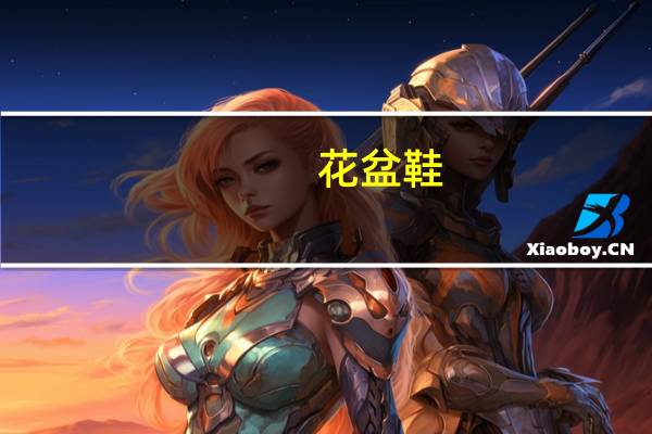花盆鞋(关于花盆鞋简述)