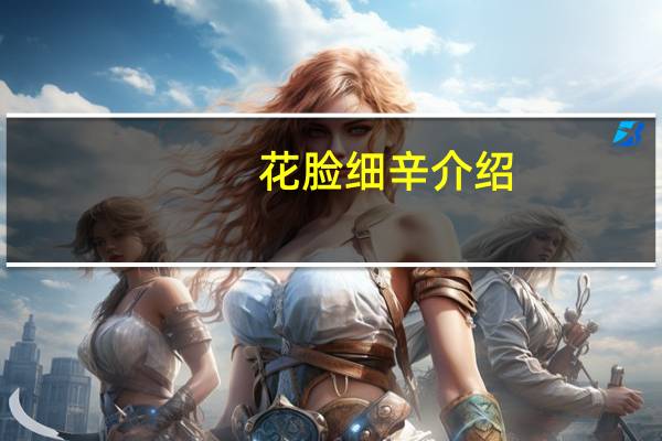 花脸细辛介绍