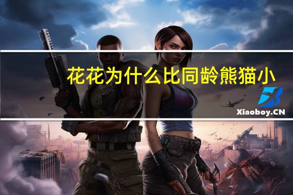 花花为什么比同龄熊猫小