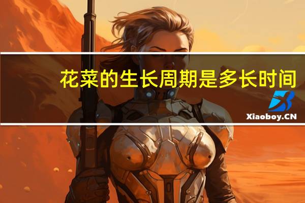 花菜的生长周期是多长时间