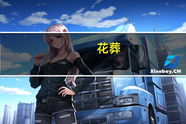 花葬(关于花葬简述)