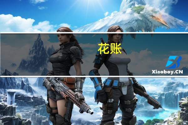 花账(关于花账简述)