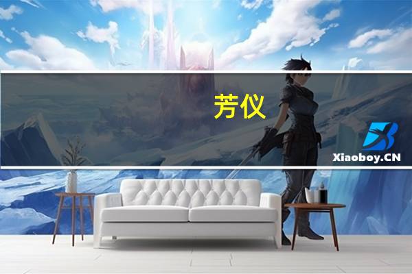芳仪(关于芳仪简述)