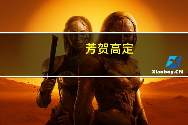 芳贺高定(关于芳贺高定简述)