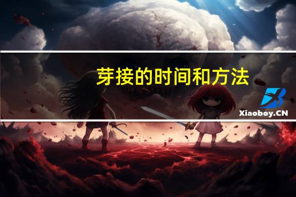 芽接的时间和方法