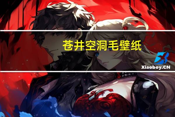 苍井空洞毛壁纸（关于苍井空洞毛壁纸的介绍）