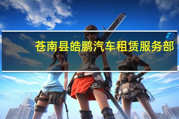苍南县皓鹏汽车租赁服务部(关于苍南县皓鹏汽车租赁服务部简述)