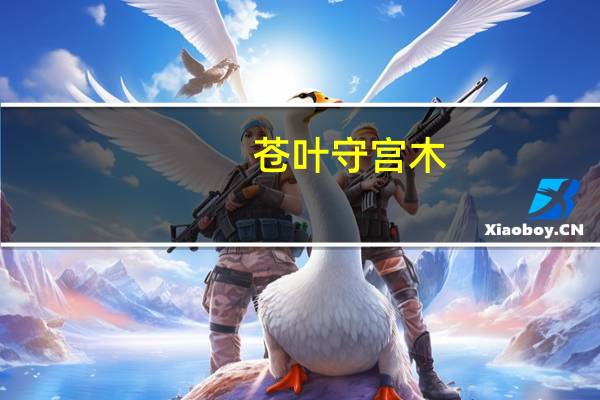 苍叶守宫木(关于苍叶守宫木简述)