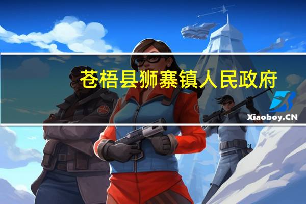 苍梧县狮寨镇人民政府(关于苍梧县狮寨镇人民政府简述)