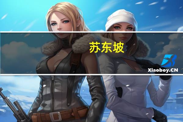 苏东坡(关于苏东坡简述)