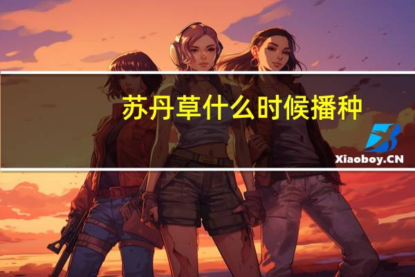 苏丹草什么时候播种