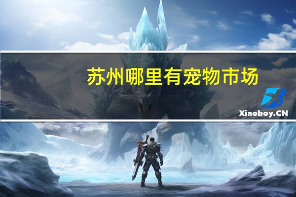 苏州哪里有宠物市场