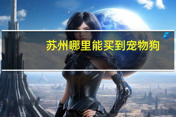 苏州哪里能买到宠物狗