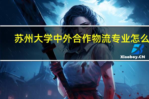 苏州大学中外合作物流专业怎么样