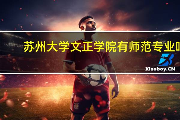 苏州大学文正学院有师范专业吗