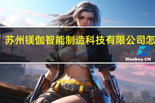 苏州镁伽智能制造科技有限公司怎么样