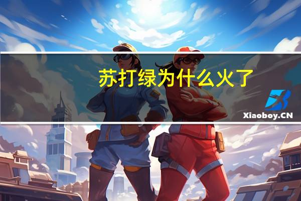 苏打绿为什么火了（苏打绿为什么休团）