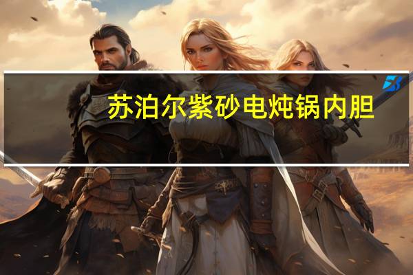 苏泊尔紫砂电炖锅内胆（电炖锅用法）