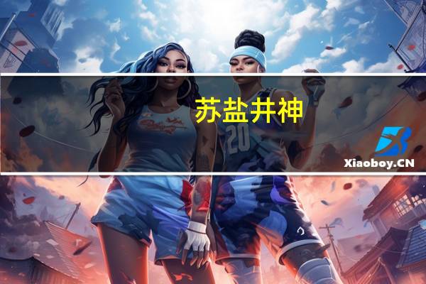 苏盐井神：上半年公司纯碱产品市场需求良好