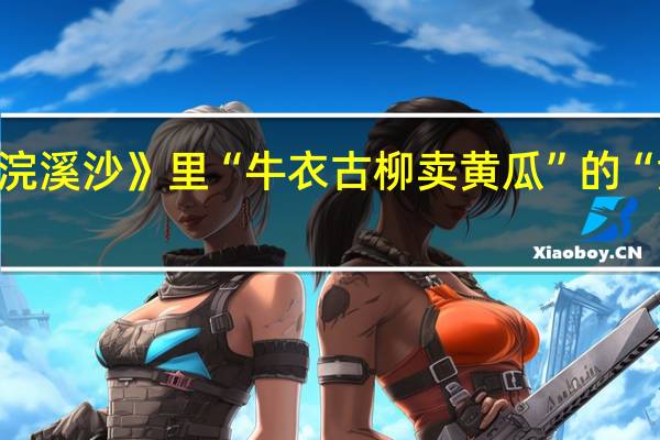 苏轼《浣溪沙》里“牛衣古柳卖黄瓜”的“黄瓜”是什么