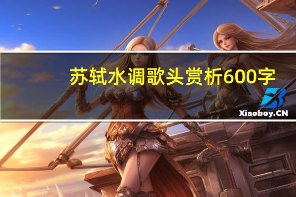 苏轼水调歌头赏析600字（苏轼水调歌头赏析）
