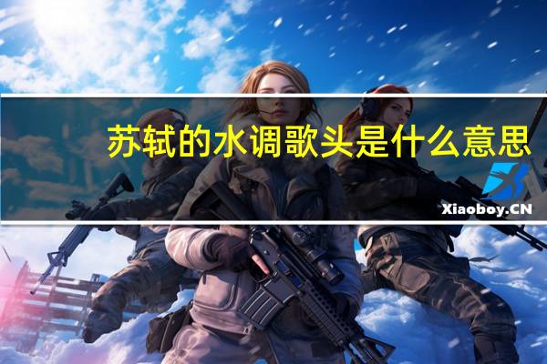 苏轼的水调歌头是什么意思