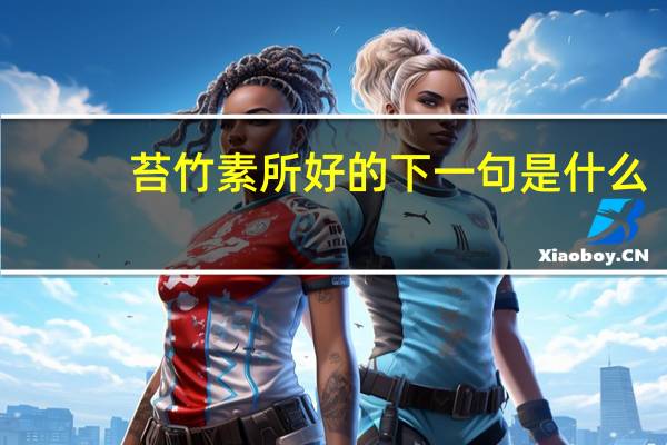 苔竹素所好的下一句是什么