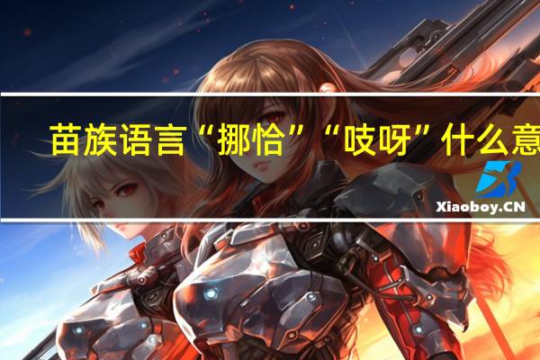 苗族语言“挪恰”“吱呀”什么意思