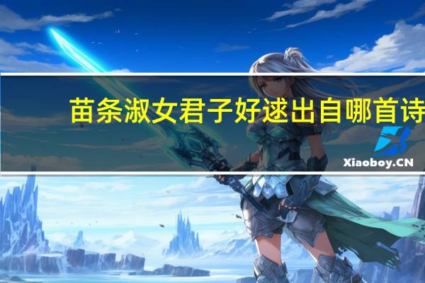 苗条淑女君子好逑出自哪首诗