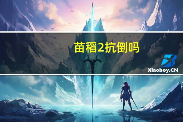 苗稻2抗倒吗