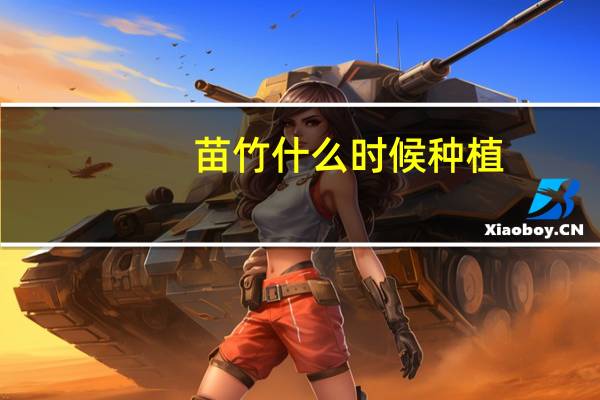 苗竹什么时候种植